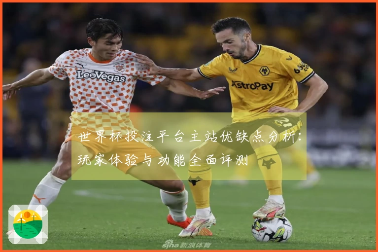 世界杯投注平台主站优缺点分析：玩家体验与功能全面评测