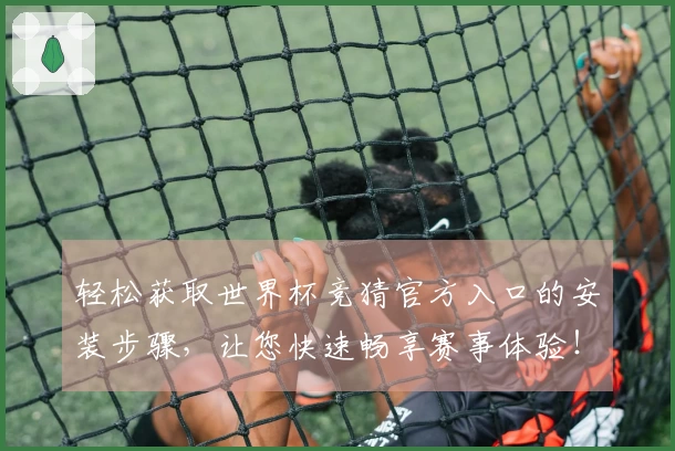 轻松获取世界杯竞猜官方入口的安装步骤，让您快速畅享赛事体验！