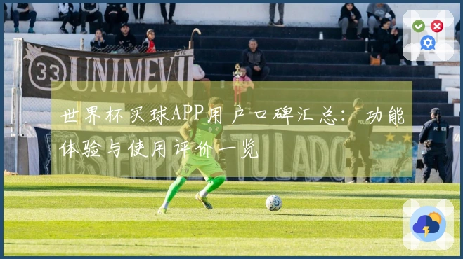 世界杯买球APP用户口碑汇总：功能体验与使用评价一览