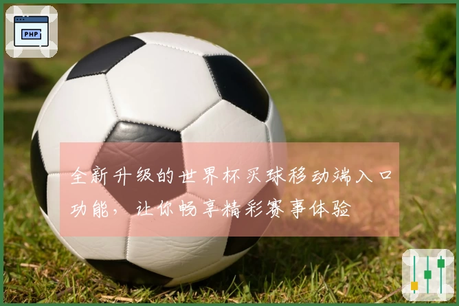 全新升级的世界杯买球移动端入口功能，让你畅享精彩赛事体验
