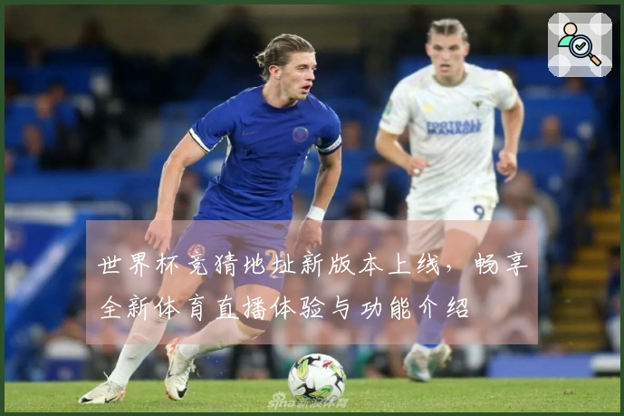 世界杯竞猜地址新版本上线，畅享全新体育直播体验与功能介绍