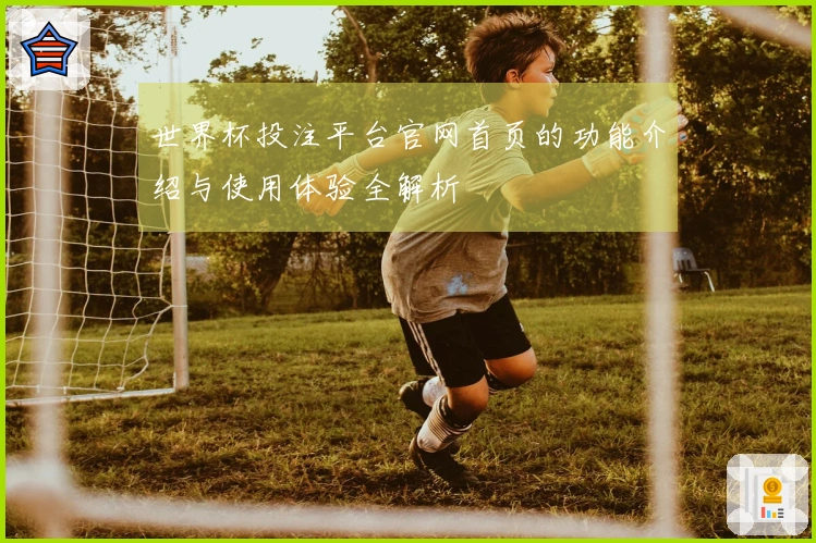 世界杯投注平台官网首页的功能介绍与使用体验全解析
