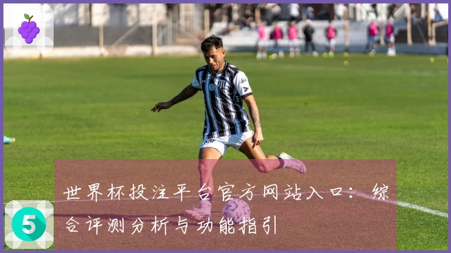 世界杯投注平台官方网站入口：综合评测分析与功能指引