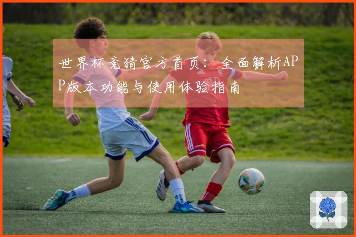 世界杯竞猜官方首页：全面解析APP版本功能与使用体验指南