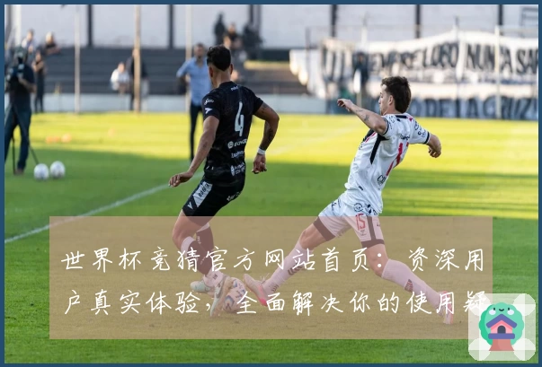 世界杯竞猜官方网站首页：资深用户真实体验，全面解决你的使用疑虑与常见问题