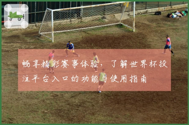 畅享精彩赛事体验，了解世界杯投注平台入口的功能与使用指南