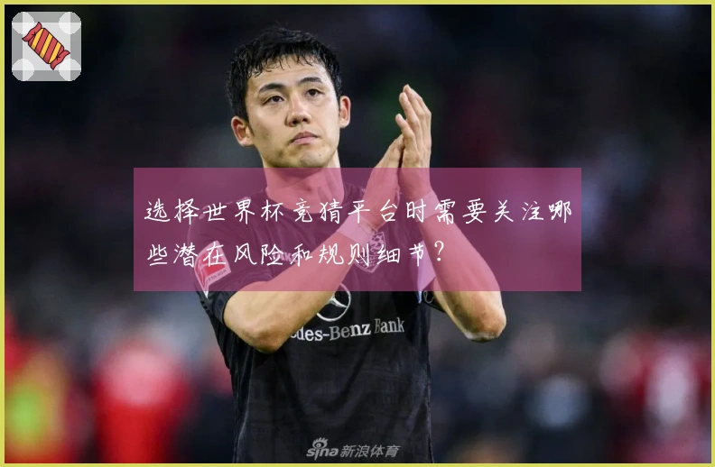 选择世界杯竞猜平台时需要关注哪些潜在风险和规则细节？